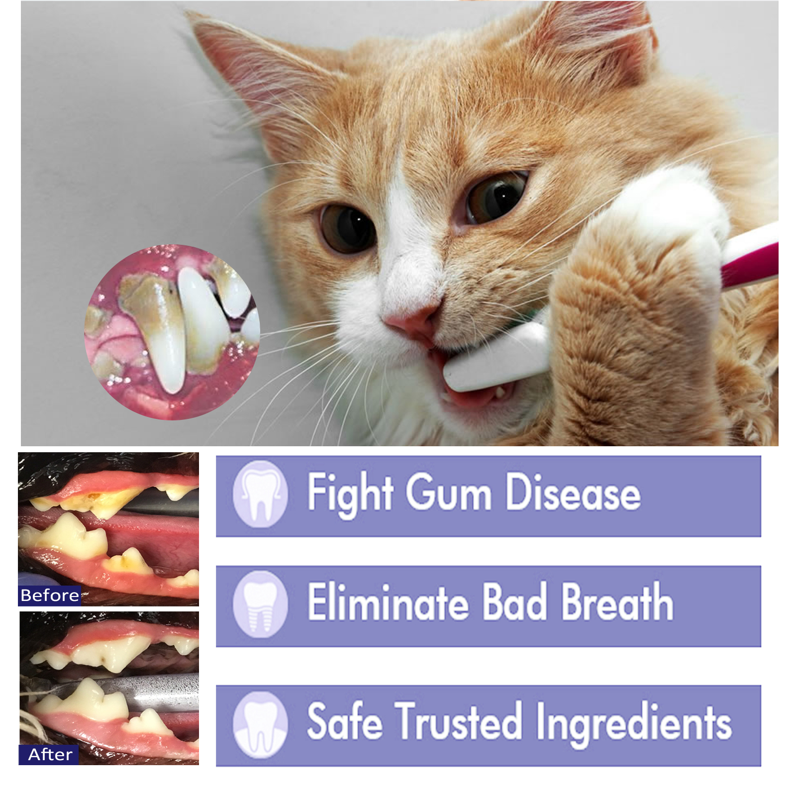Pet Toothpaste Reduce Tartar R - Teeth Whitening Gum review and price