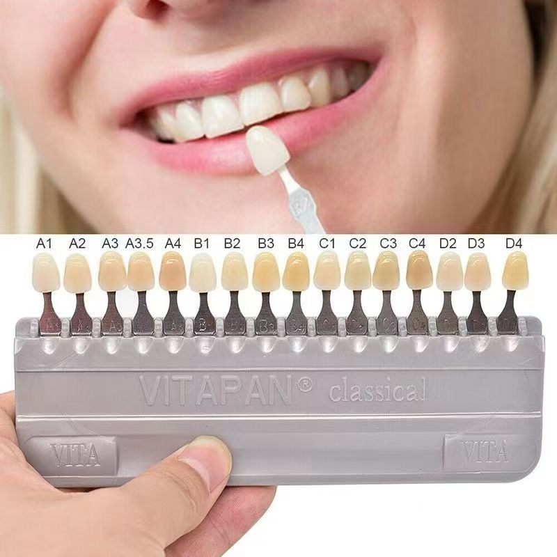 VITA 16 Colors Teeth Shade Gui - Teeth Whitening Shade Guide review and price