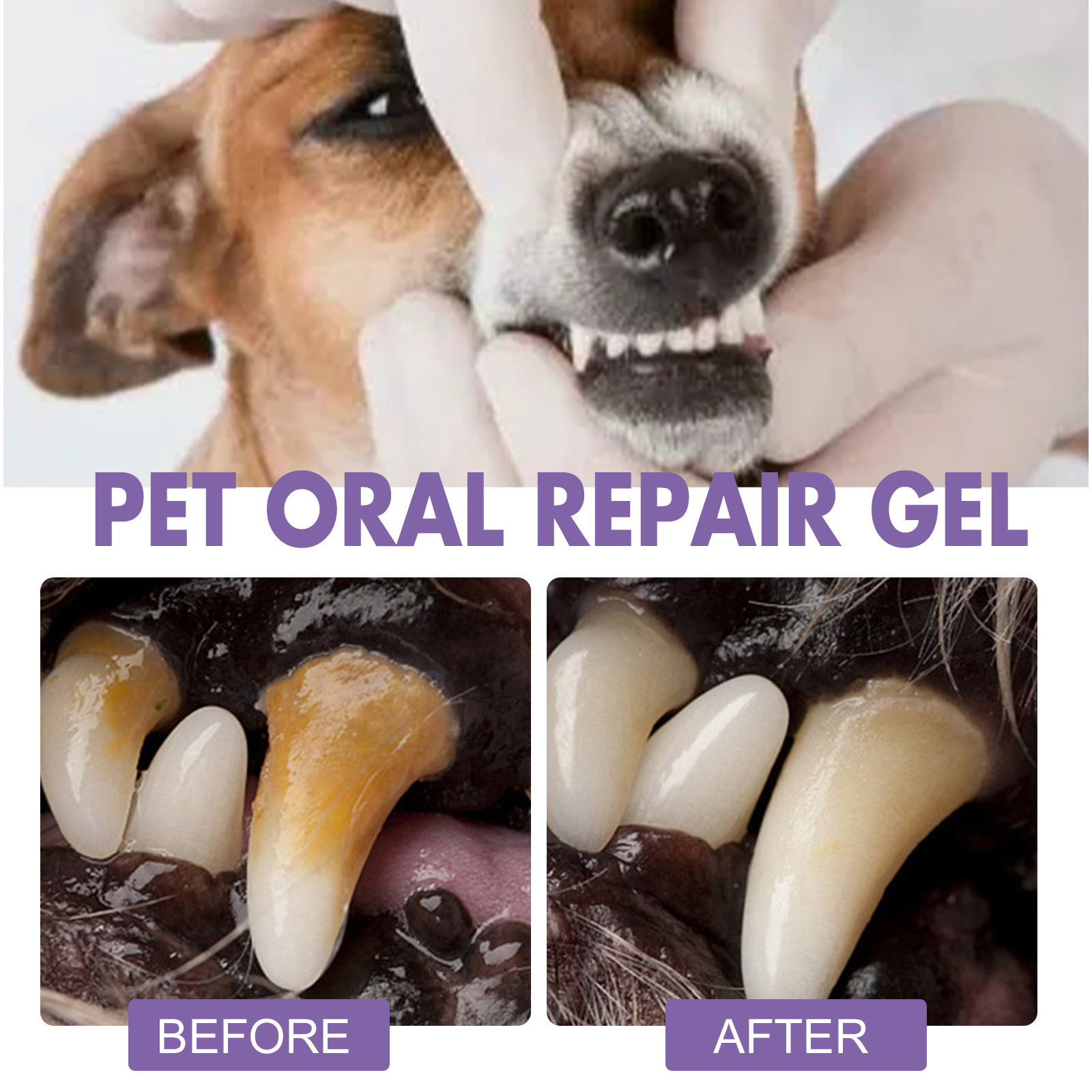 Pet Oral Repair Gel Puppy Tart - Teeth Whitening Gum review and price