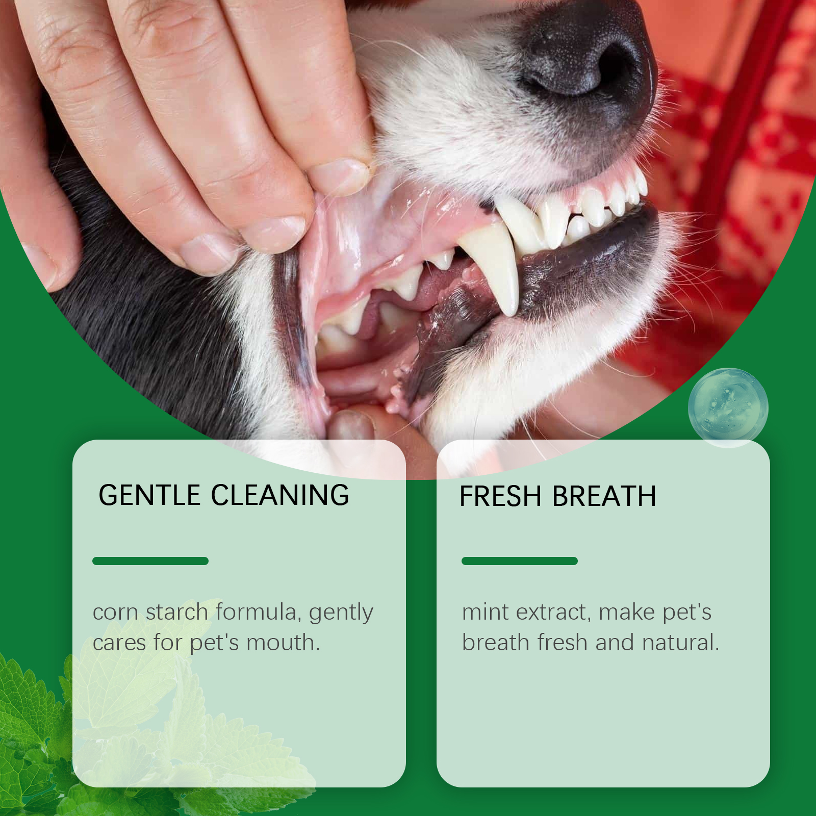 Pet Teeth Cleaning Powder Redu - Teeth Whitening Near Me review and price