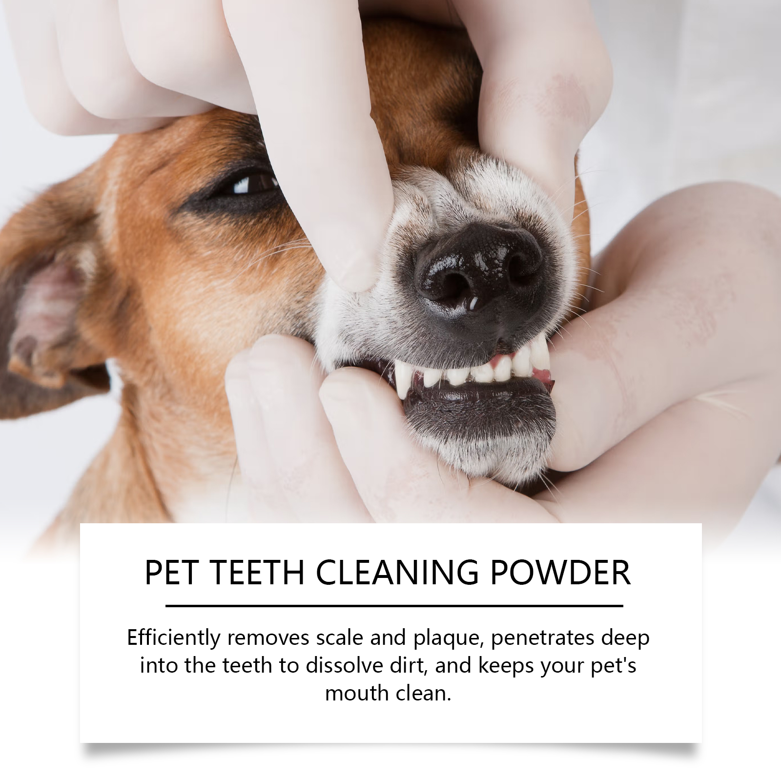 Pet Teeth Cleaning Powder Redu - Teeth Whitening Near Me review and price