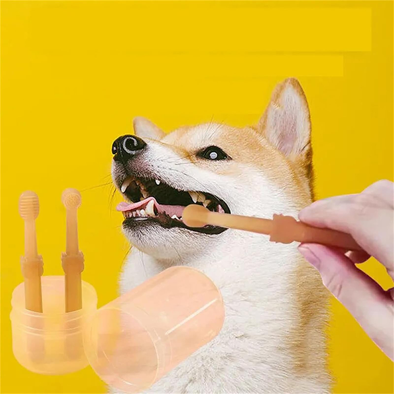 Teeth Whitening Dog Cat Silico - Teeth Whitening Gum review and price