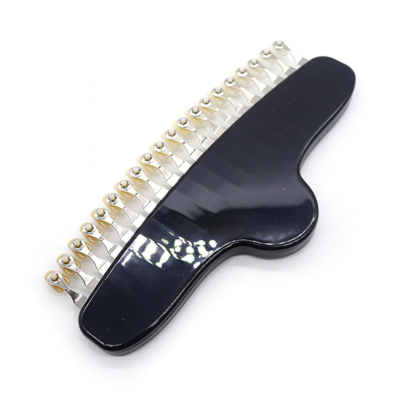 Custom Logo Dental 20 Colors T - Teeth Whitening Shade Guide review and price
