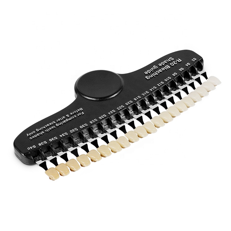 Professional Dental Shades Cha - Teeth Whitening Shade Guide review and price